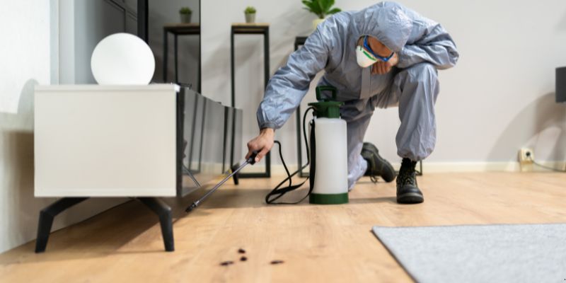 Quanto tempo dura uma dedetização em Curitiba?